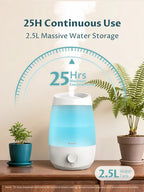 BREEZOME 2.5L Humidifier for Bedroom, 250ml/h Cool Mist, 25-Hour Runtime, Essential Oil Diffuser, Auto Shut-Off & 25dB Ultra-Quiet Operation, Perfect for Nurseries, Indoor Plants & Home