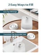 BREEZOME 2.5L Humidifier for Bedroom, 250ml/h Cool Mist, 25-Hour Runtime, Essential Oil Diffuser, Auto Shut-Off & 25dB Ultra-Quiet Operation, Perfect for Nurseries, Indoor Plants & Home